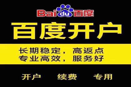 百度网络推广案例分享：低成本打造爆款品牌，助力企业腾飞
